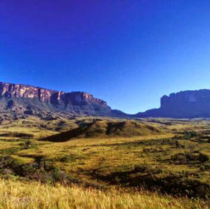 Meet your Posher, Ana